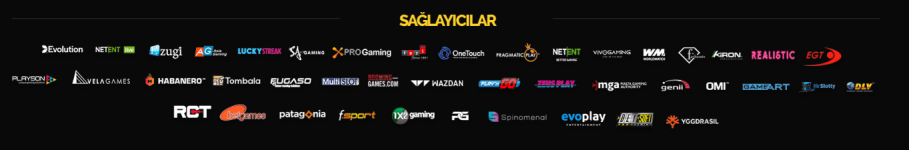 sağla.PNG sağla.PNG