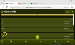 Screenshot_20240206_111919_com.yandex.browser.jpg