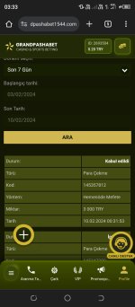 Screenshot_20240210-033302.jpg