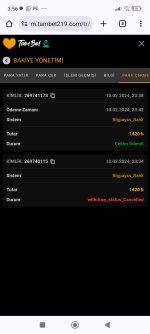 Screenshot_2024-02-11-03-56-52-235_com.android.chrome.jpg