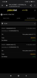 Screenshot_2024-02-11-13-25-27-343_com.android.chrome.jpg