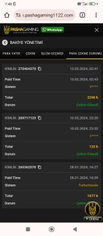 Screenshot_2024-02-13-07-48-24-492_com.android.chrome.jpg