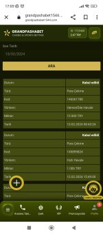 Screenshot_2024-02-13-17-05-06-873_com.android.chrome.jpg