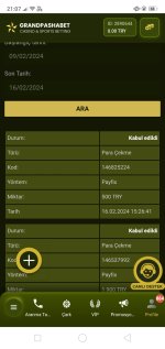 Screenshot_2024-02-16-21-07-44-64.jpg
