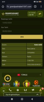 Screenshot_2024-02-20-06-51-05-455_com.android.chrome.jpg