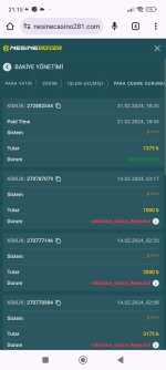 Screenshot_2024-02-21-21-15-09-496_com.android.chrome.jpg