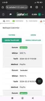 Screenshot_2024-02-22-02-25-50-462_com.android.chrome.jpg
