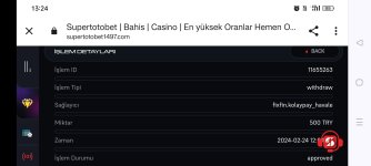 Screenshot_2024-02-24-13-24-04-80_40deb401b9ffe8e1df2f1cc5ba480b12.jpg