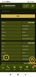Screenshot_2024-02-28-22-54-44-286_com.android.chrome.jpg