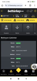 Screenshot_2024-03-02-16-22-54-956_com.android.chrome.jpg