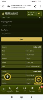 Screenshot_2024-03-02-18-03-07-106_com.android.chrome.jpg