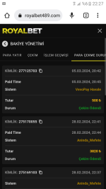 Screenshot_20240305-222715.png