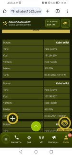 Screenshot_20240307_183641_com.android.chrome.jpg