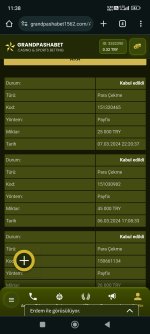 Screenshot_2024-03-08-11-38-20-934_com.android.chrome.jpg