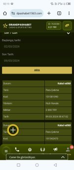 Screenshot_20240309-021359.jpg