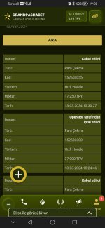 Screenshot_20240313_190007_com.android.chrome.jpg