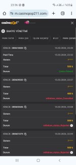 Screenshot_20240315-233611_Chrome.jpg