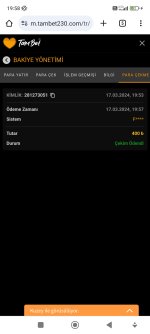 Screenshot_2024-03-17-19-58-22-428_com.android.chrome.jpg