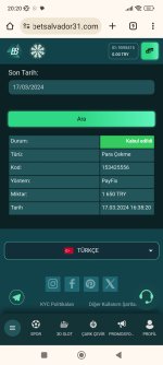 Screenshot_2024-03-17-20-20-04-918_com.android.chrome.jpg