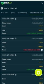 Screenshot_2024-03-18-01-27-34-633-edit_com.android.chrome.jpg