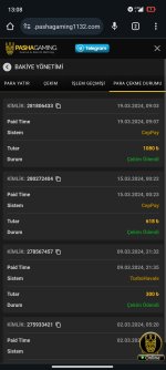Screenshot_2024-03-19-13-08-38-147_com.android.chrome.jpg