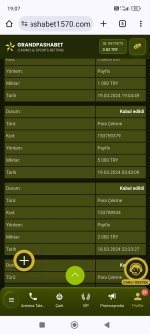Screenshot_2024-03-19-19-07-36-121_com.android.chrome.jpg