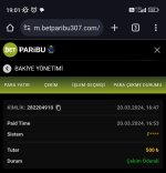 Screenshot_2024-03-20-19-01-11-964-edit_com.android.chrome.jpg