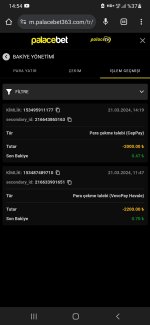 Screenshot_20240321-145437_Chrome.jpg