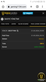 Screenshot_20240321-201303.png