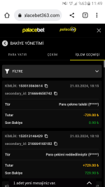 Screenshot_20240322-114919.png