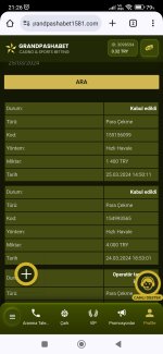Screenshot_2024-03-25-21-26-08-719_com.android.chrome.jpg
