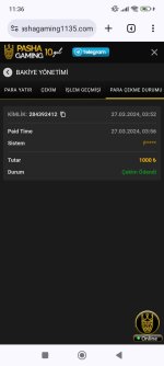 Screenshot_2024-03-27-11-36-47-807_com.android.chrome.jpg