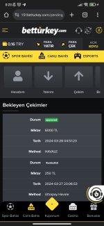 Screenshot_2024-03-29-00-23-34-538_com.android.chrome.jpg