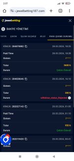 Screenshot_2024-03-29-02-07-19-548_com.android.chrome.jpg