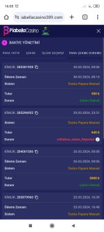 Screenshot_2024-03-31-16-05-54-863_com.android.chrome.jpg