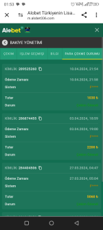 Screenshot_20240411-015333.png
