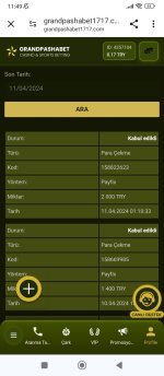 Screenshot_2024-04-11-11-49-55-806_com.android.chrome.jpg