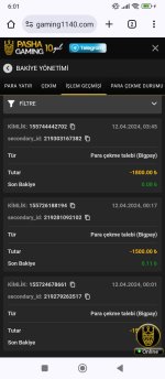 Screenshot_2024-04-12-06-01-34-051_com.android.chrome.jpg
