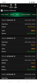 Screenshot_2024-04-16-19-20-19-94.jpg