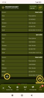 Screenshot_2024-04-23-17-13-49-013_com.android.chrome.jpg