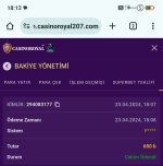 Screenshot_2024-04-23-18-12-41-431_com.android.chrome-edit.jpg