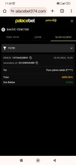 Screenshot_2024-04-29-17-38-12-559_com.android.chrome.jpg