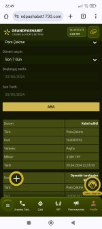 Screenshot_2024-04-29-22-49-28-981_com.android.chrome.jpg
