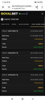Screenshot_2024-05-01-11-48-45-689_com.android.chrome.jpg