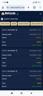 Screenshot_2024-05-16-11-06-26-434_com.android.chrome.jpg