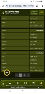 Screenshot_20240521-113838_Chrome.jpg