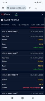 Screenshot_2024-05-28-19-19-42-524_com.android.chrome.jpg
