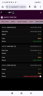 Screenshot_2024-05-28-21-53-04-445_com.android.chrome.jpg