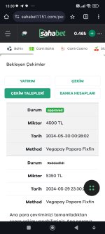 Screenshot_2024-05-30-13-30-59-704_com.android.chrome.jpg