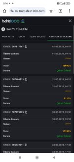 Screenshot_2024-06-01-09-16-13-595_com.android.chrome.jpg